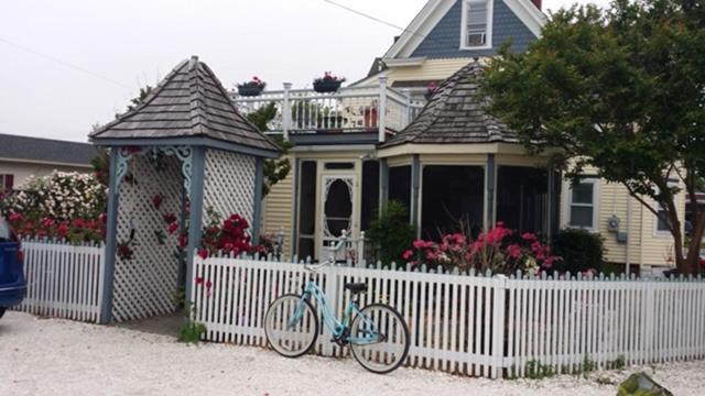 Miss Molly'S Inn Chincoteague Eksteriør billede